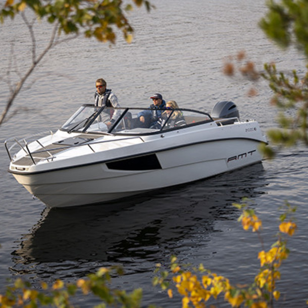 Day cruiser AMT 210 DC 1